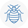 Bed Bug Extermination In Bordon