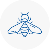 Bee Nest Removal Bordon