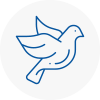 Bird Prevention Bordon
