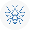 Bordon Hornet Nest Removals