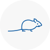 Mice Exterminators In Bordon