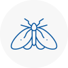 Moth Control Specialists In Bordon