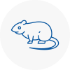 Rat Control Bordon