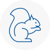 Bordon Rodent Removals