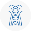 Bordon Wasp Nest Removal